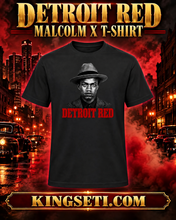 Load image into Gallery viewer, DETROIT RED T Shirt