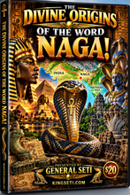 Load image into Gallery viewer, FROM NAGA 2 NIGGA!! 2-DISCS